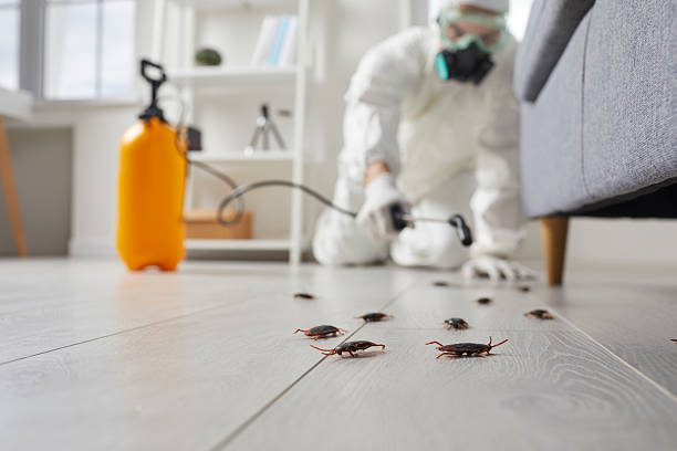 Commercial Kitchen Cockroach Control in Florence-Graham